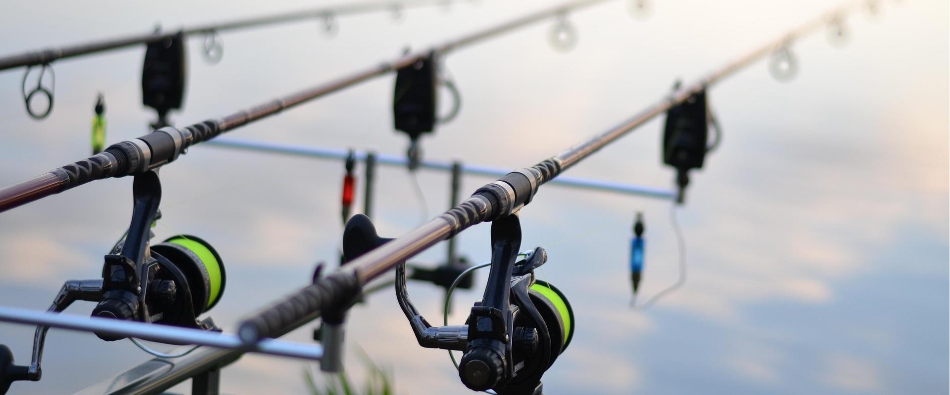 Winkel Voor Visbenodigdheden -Winkel Voor Visbenodigdheden fishing 3302535 1920